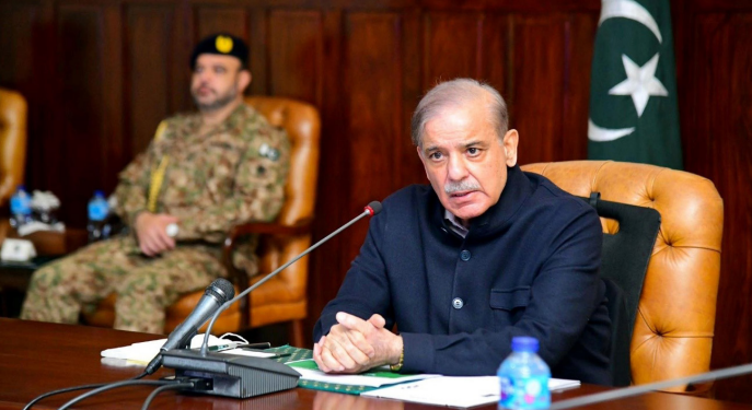 Shehbaz Sharif: leadership in turbulent times