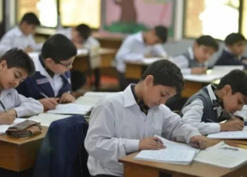 Punjab’s education odyssey: past, present, and future