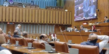 Senate passes resolution to boost Pakistan-Africa ties