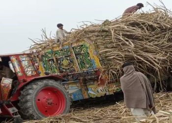The Fall of Pakistan’s Agriculture – A threat to food security