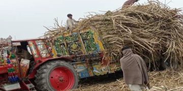 The Fall of Pakistan’s Agriculture – A threat to food security