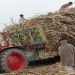 The Fall of Pakistan’s Agriculture – A threat to food security