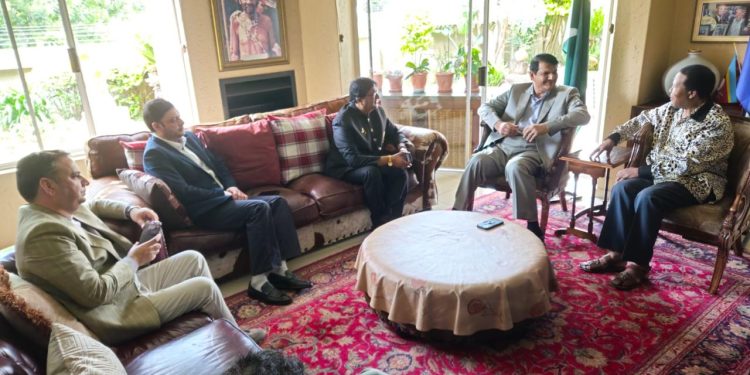 Diaspora facilitates high-level engagement in South Africa